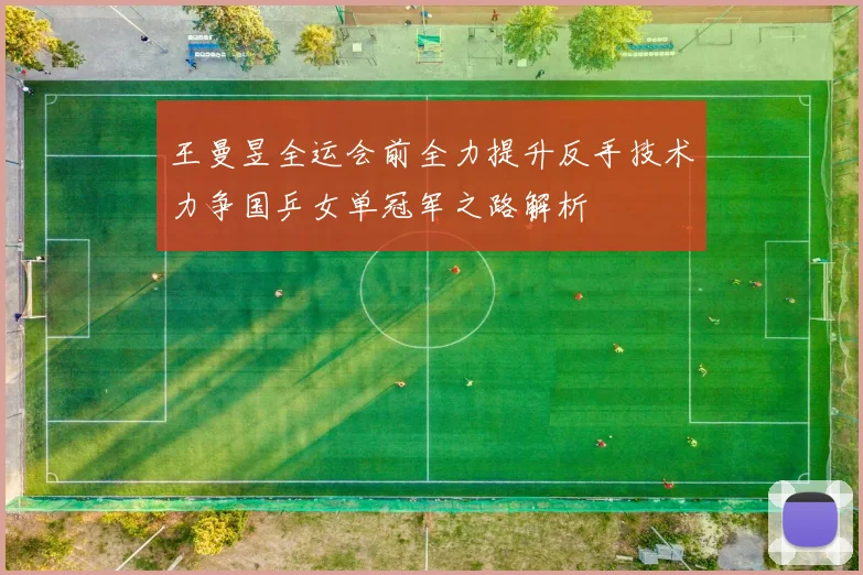王曼昱全运会前全力提升反手技术力争国乒女单冠军之路解析
